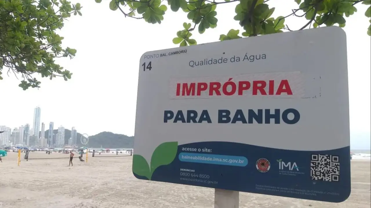 Vacaciones en Brasil: c�mo saber qu� playas est�n contaminadas y cu�les pueden ser los efectos en la salud