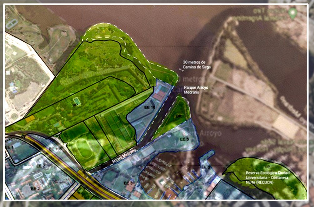 El Parque del Arroyo Medrano: una apuesta ambiental para la Costanera Norte