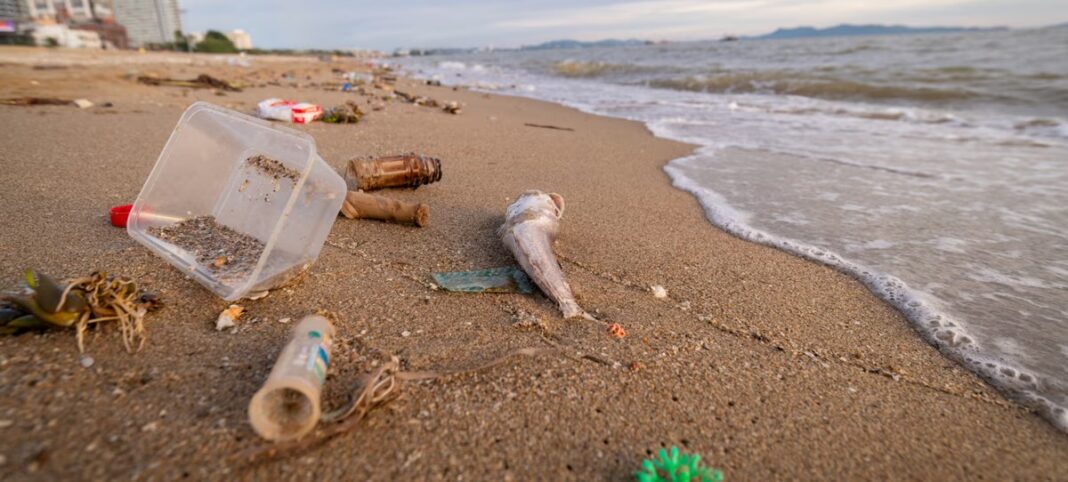 Top 5 de residuos m�s encontrados en las playas bonaerenses: el pl�stico lidera la contaminaci�n costera