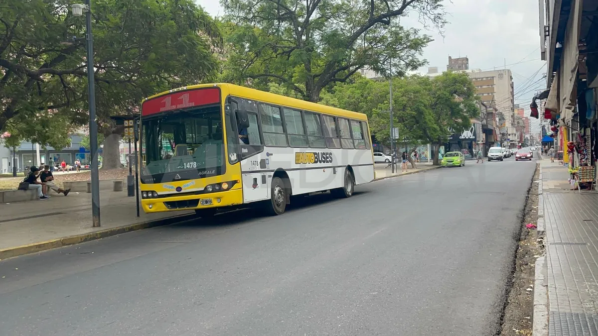 Santa Fe: nueve l�neas de colectivos cambian su recorrido por obras en distintos puntos de la ciudad