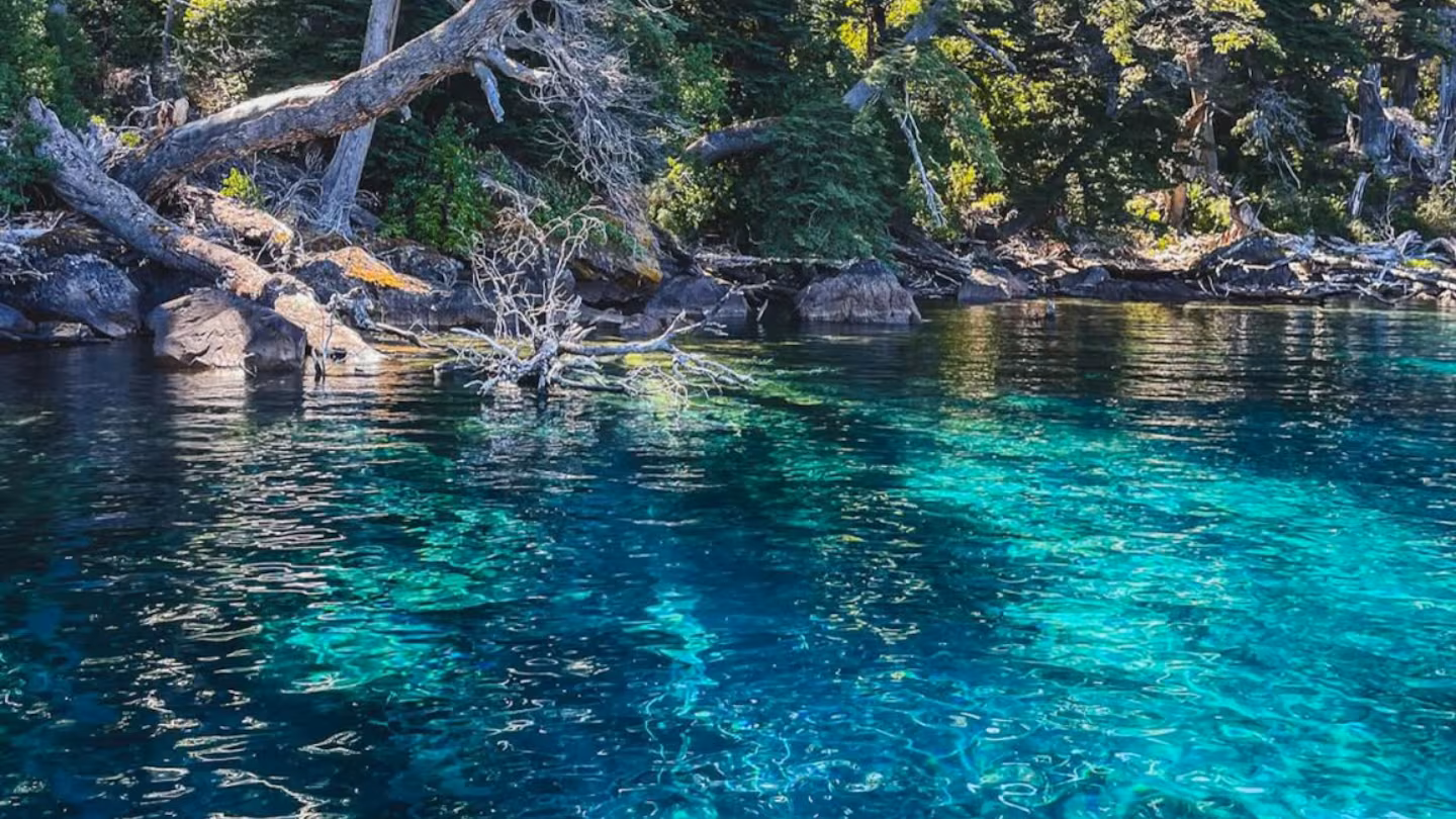 D�nde queda el lago argentino con un bosque sumergido: se puede ver el fondo a 20 metros de profundidad