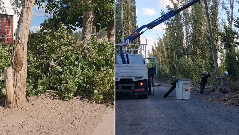 Alerta naranja por viento en Neuqu�n: suspendieron el transporte interprovincial de pasajeros