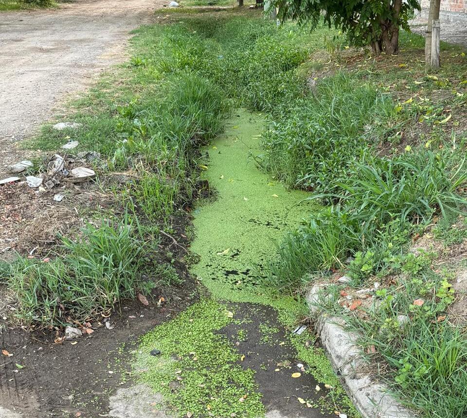 M�s de 5.000 vecinos afectados por una obra de cloacas abandonada en Presidente Per�n