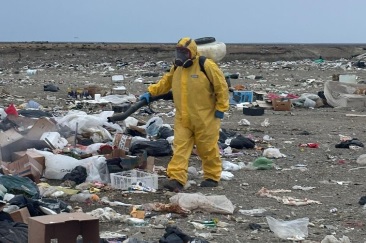 Municipio realiz� fumigaci�n en el vaciadero local