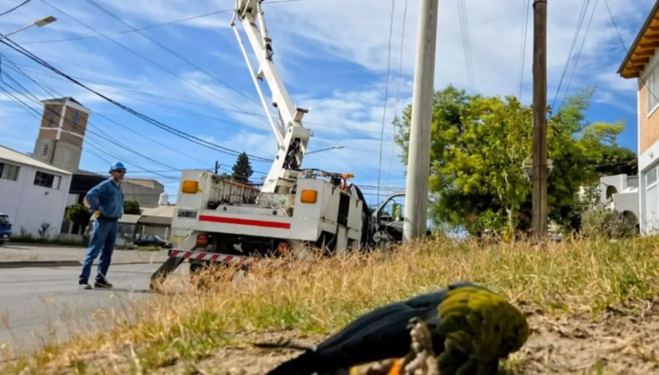 Qued� normalizado el servicio de energ�a