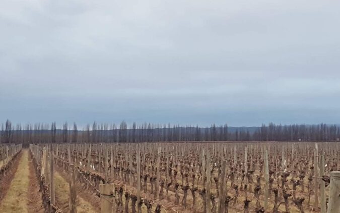 El Departamento General de Irrigaci�n adhiri� al decreto provincial de emergencia clim�tica