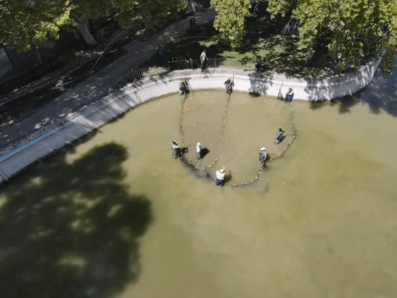 As� trasladan m�s de mil peces del lago del Parque de Mayo: �d�nde los llevan?