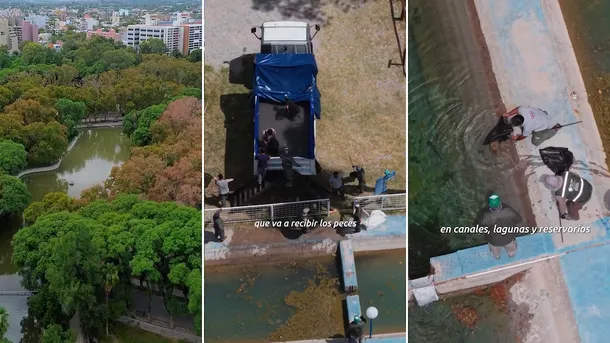 Vaciaron un lago y tuvieron que trasladar a m�s de mil peces en San Juan