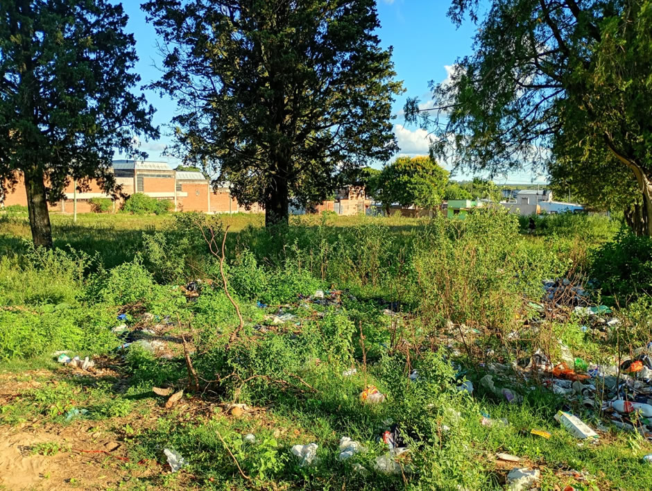 Solicitud de vecino N� 88: Preocupaci�n por un terreno abandonado que se transform� en basural