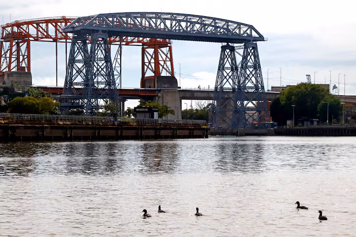 Volvieron las garzas y carpinchos al Riachuelo
