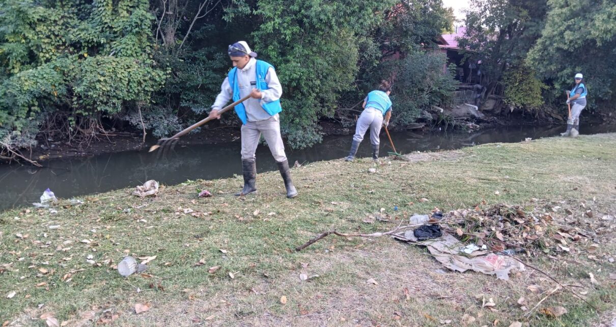 Limpieza y mantenimiento de desag�es pluviales