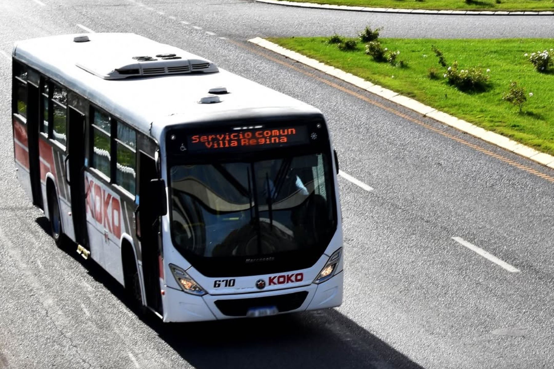 Nueve empresas y $360 millones al mes: c�mo sostiene R�o Negro el transporte interurbano