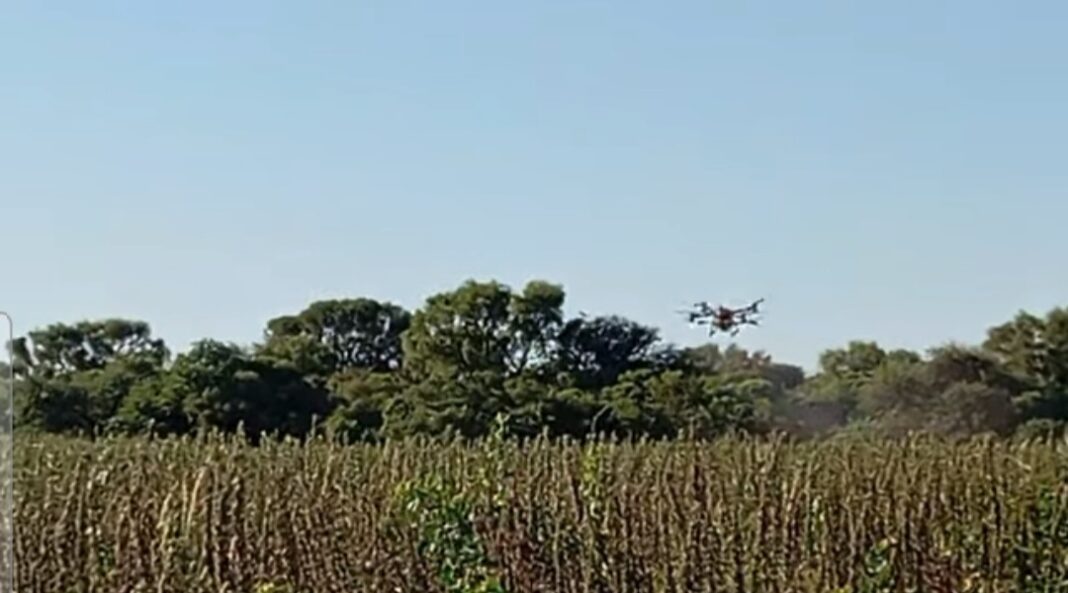 No tienen agua, les llueven t�xicos | Un asentamiento salte�o denuncia fumigaciones