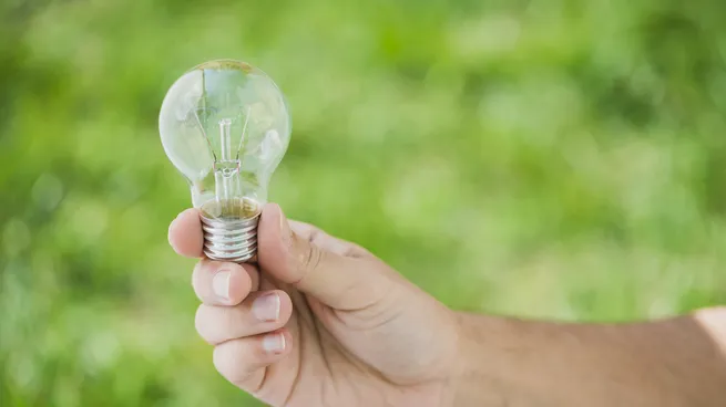 La biomasa consolida su liderazgo en la matriz energ�tica y ampl�a la distancia frente al petr�leo