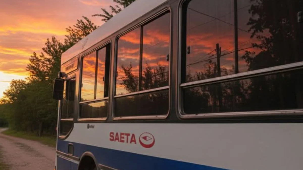 SAETA elimina el transbordo gratuito y el segundo viaje costar� el 50 por ciento del boleto... Contenido copiado de defrentesalta.com.ar