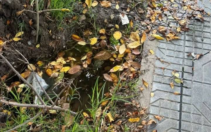 El drama de la falta de agua en La Plata, en primera persona: 