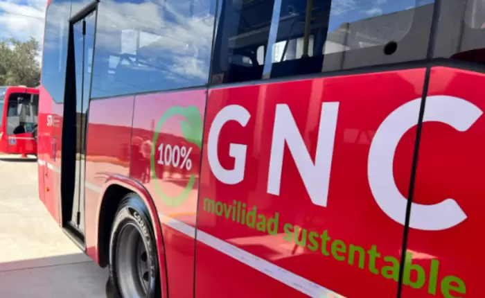 El Gobierno analizar� si conviene que los colectivos funcionen con GNC