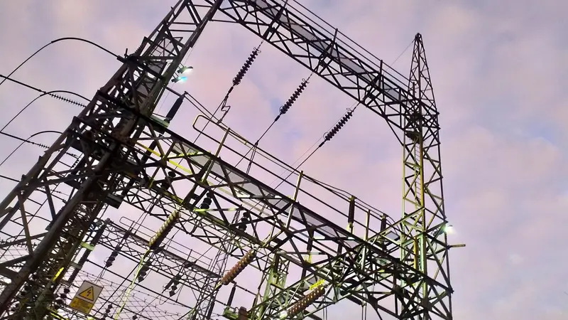 El Gobierno flexibiliz� el mercado el�ctrico mayorista por la suba del combustible