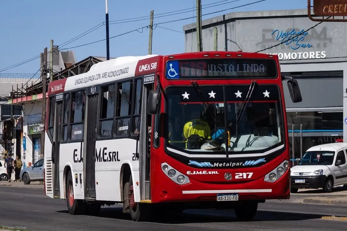 Transporte en crisis: menos colectivos y fallas en el Roca afectan a pasajeros de la regi�n