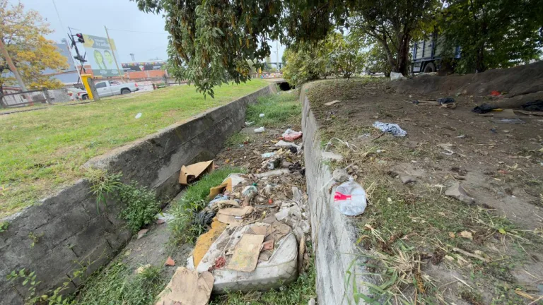 Limpian un microbasural y desmalezan el canal pluvial de avenida San Mart�n