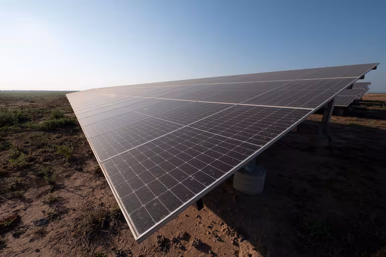 Opini�n: el campo argentino y las cooperativas el�ctricas en la encrucijada