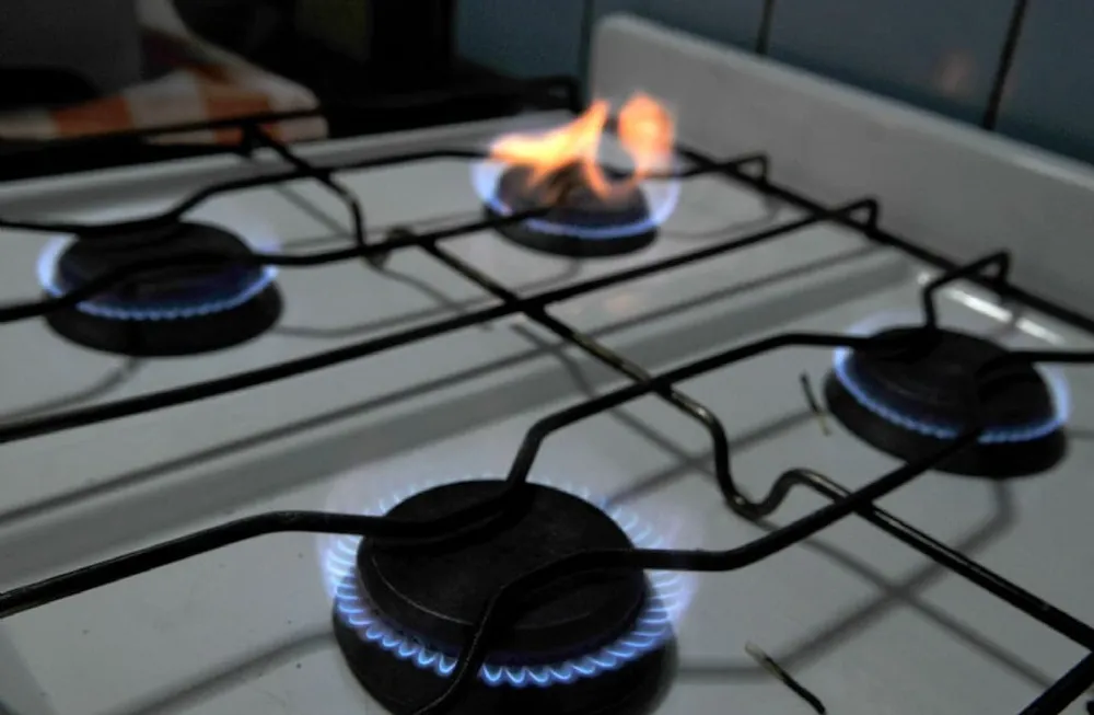 Sin el descuento por Zona Fr�a, los hogares mendocinos pagar�an un 43 por ciento m�s por el gas