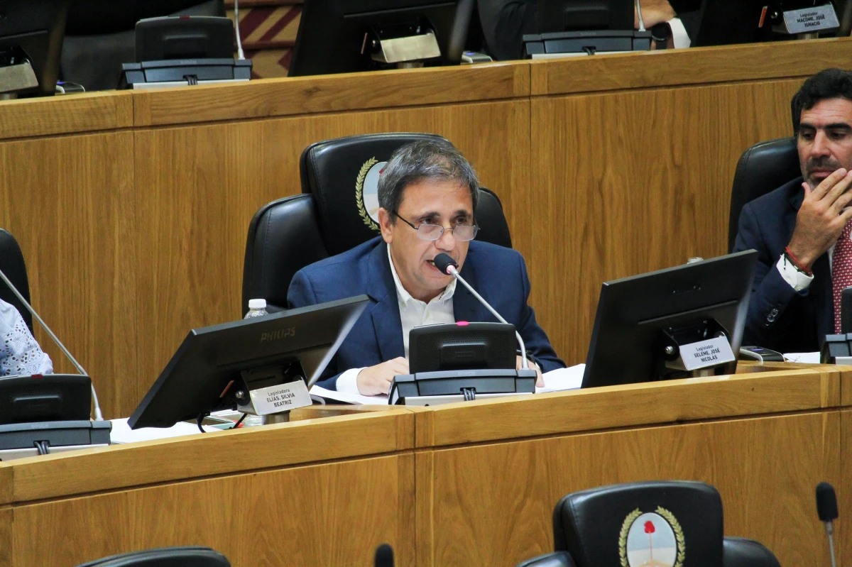 �El Gobierno no puede esconderse detr�s del pasamanos tarifario�, reproch� el legislador Seleme