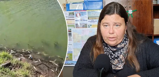 Mortandad de peces, resultado de los an�lisis: �Se determin� altos niveles de fosfato en el agua� (VIDEO)