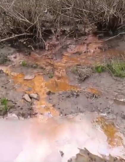 Vecinos denuncian un presunto derrame de sustancias aceitosas en la playa N�bel