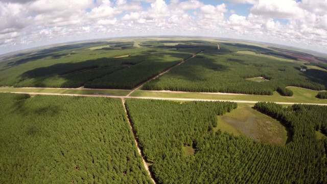 Corrientes lanza los primeros bonos verdes y sociales provinciales