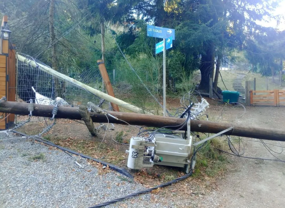 TEMPORAL DE VIENTO: El EPEN trabaj� durante toda la jornada de ayer y la madrugada para restablecer el servicio el�ctrico