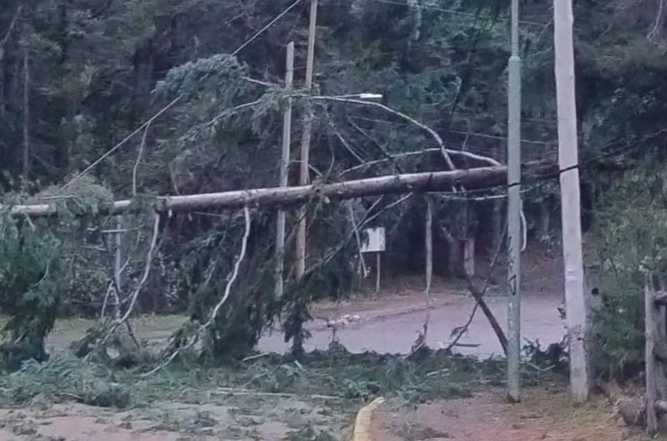 Fuerte temporal de viento provoc� ca�da de �rboles, voladura de techos y cortes de energ�a en Villa La Angostura - La Angostura Digital