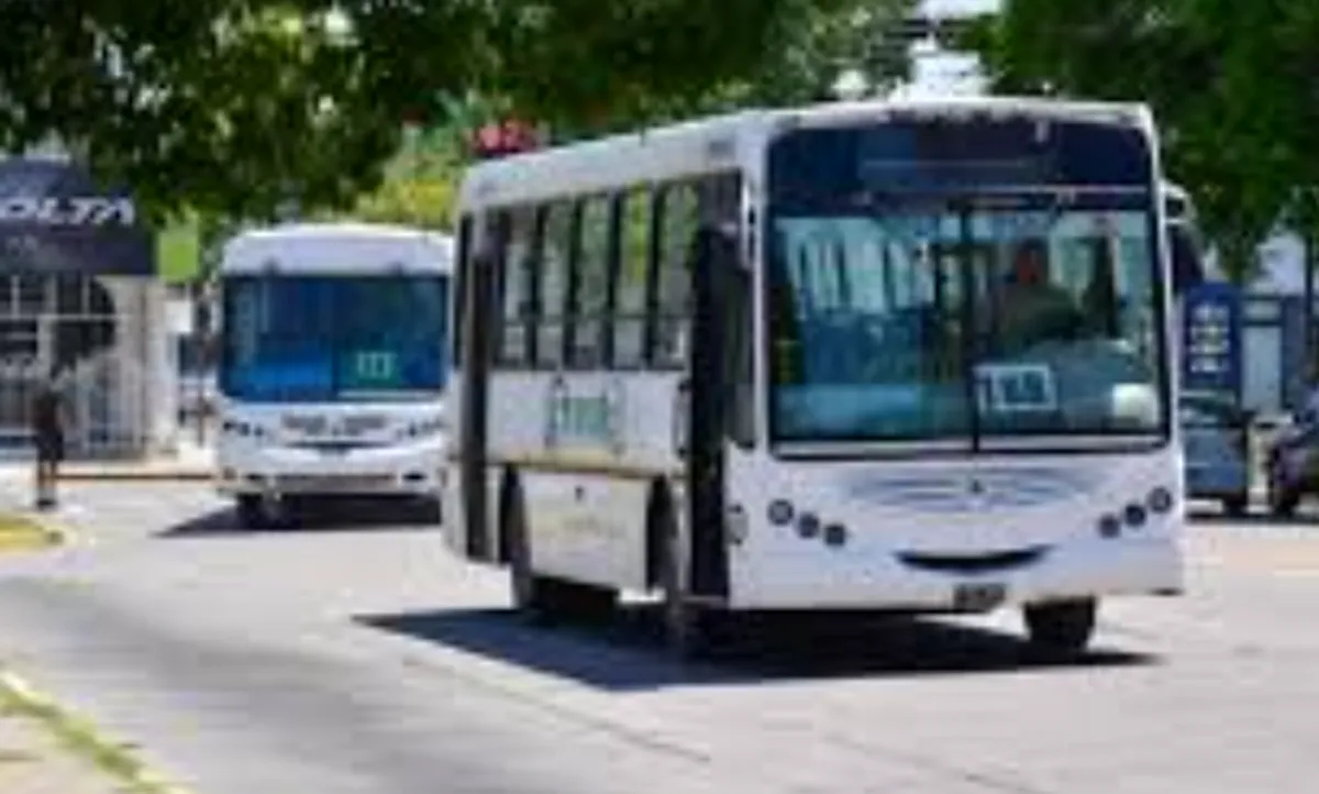 Recolecci�n de residuos, transporte y estacionamiento: c�mo funcionar�n los servicios el 9 y 10 de julio