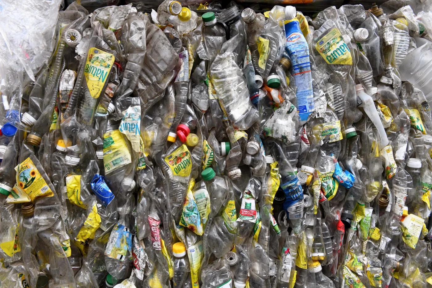 La Plata recupera solo el 4 por ciento de sus residuos y cient�ficos proponen un plan para mejorar el reciclado