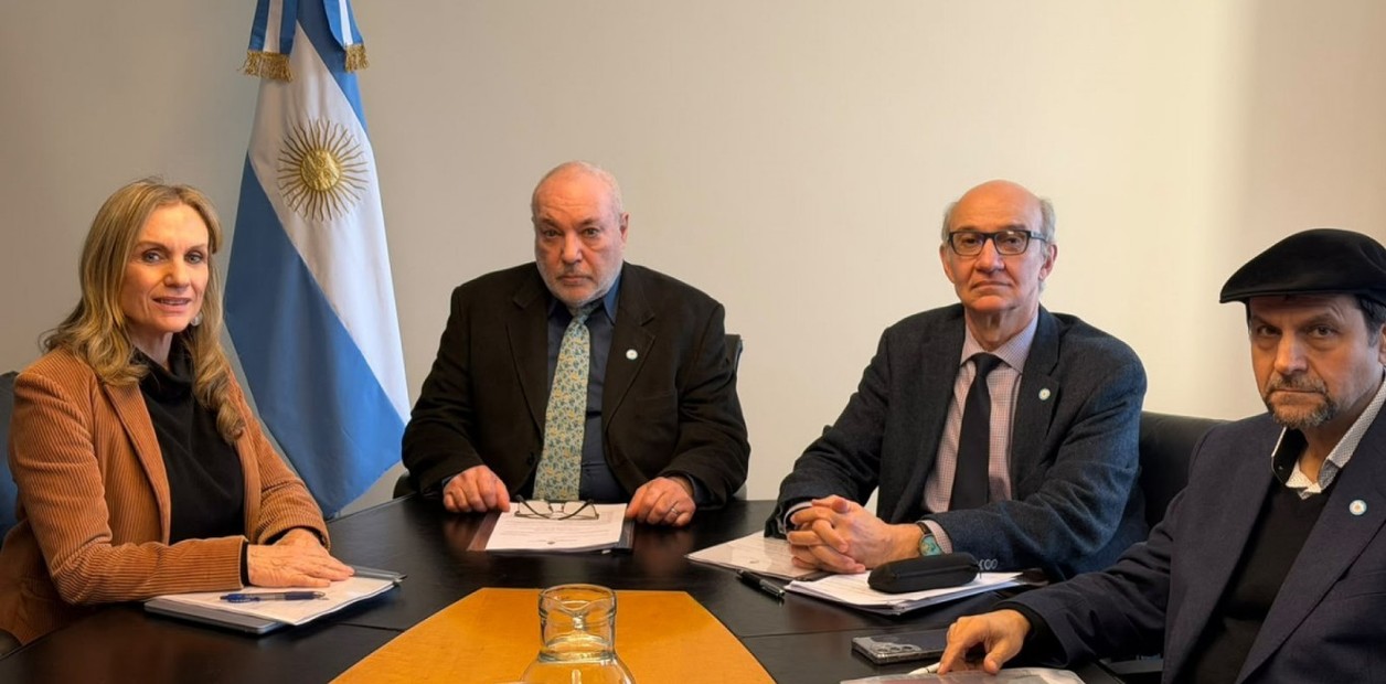 Tras una sorpresiva renuncia, el Gobierno busca un nuevo titular para el ente que regula la luz y el gas