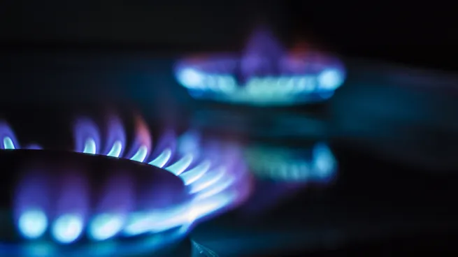 El Enargas suspende el mecanismo que ajusta las tarifas de gas por diferencias en el precio de compra