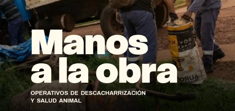Descacharrizado, limpieza y atenci�n para mascotas en Barrio Hultgren