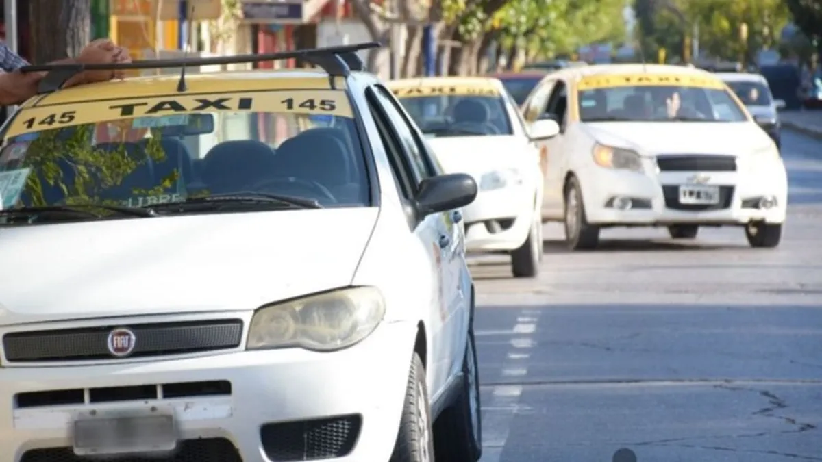 La Justicia aval� la reglamentaci�n de la Ley de Transporte y rechaz� el planteo de taxistas