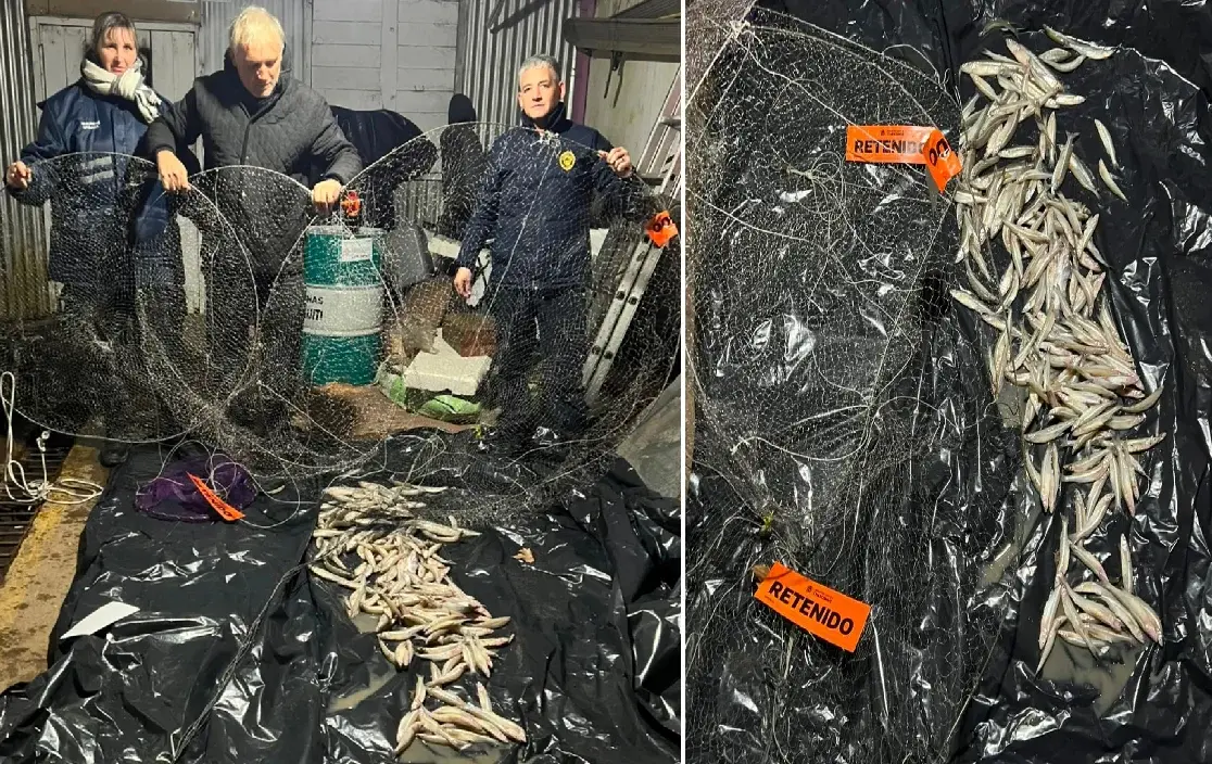 Operativo nocturno contra la pesca furtiva en Chascom�s: un nuevo �xito de 