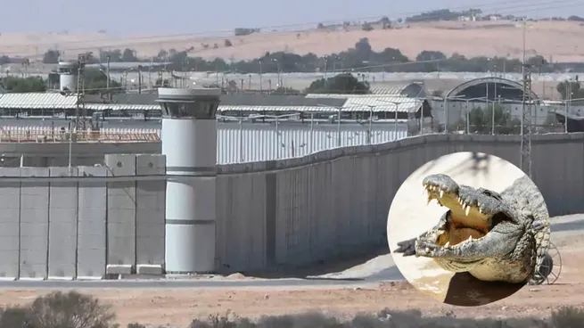 Por maltrato animal: frenan en Israel un proyecto para rodear con cocodrilos una c�rcel de presos palestinos