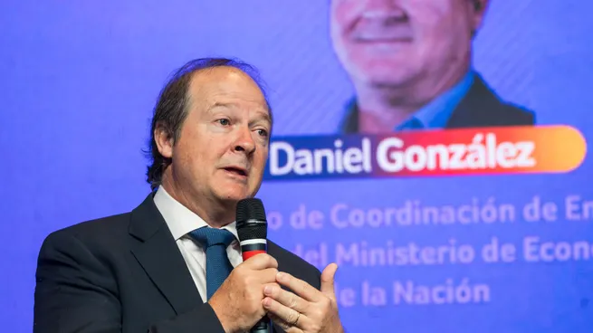 RIGI, zona fr�a, obras, tarifas y un dato clave sobre Vaca Muerta: las definiciones de Daniel Gonz�lez, secretario de Energ�a