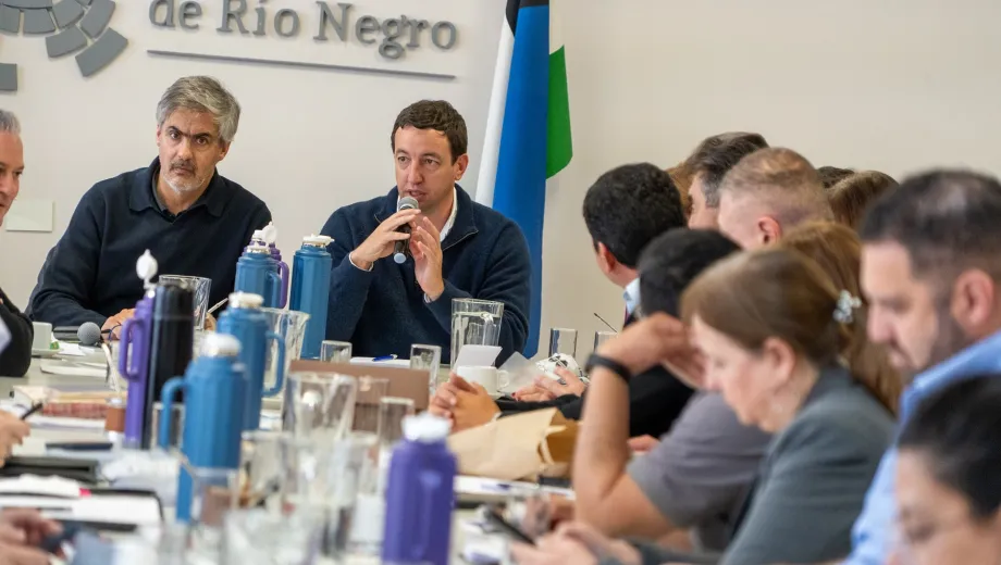 Avanza en la Legislatura de R�o Negro el proyecto para crear un �nico ente regulador de servicios