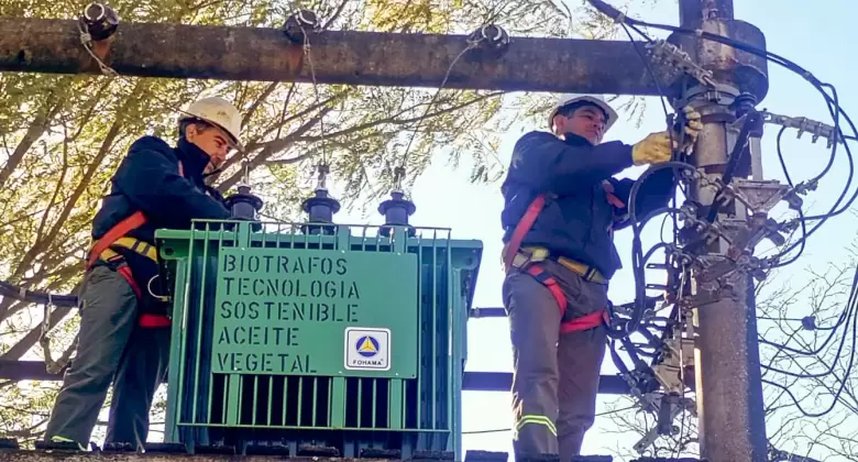 Agua de Oro: incorporan un transformador con tecnolog�a de origen vegetal para potenciar la red el�ctrica