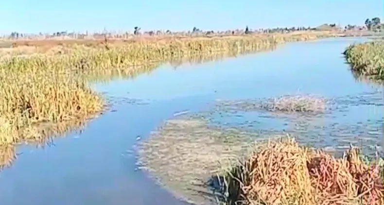Crisis ambiental en Guaymalln: 
