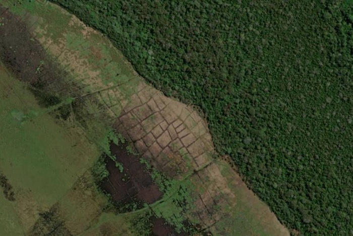 Brasil implement un sistema para monitorear a diario toda la selva amaznica