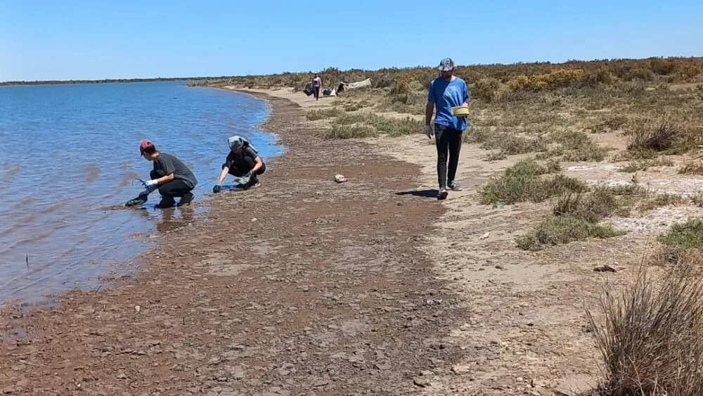 Se viene la 8 edicin del Censo de Residuos de la Costa Bonaerense