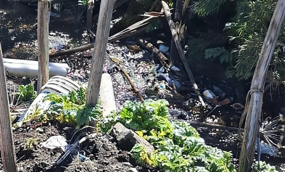 Alerta ambiental en Villa La Angostura: denuncian vuelcos de lixiviados y celdas con riesgo de incendio