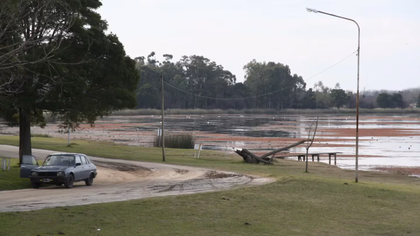Sembraron 30.000 pejerreyes en una laguna de Buenos Aires: est� a 175 kil�metros de CABA y busca recuperar el turismo