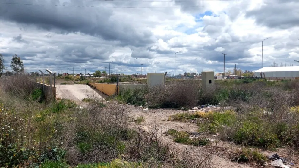 De soluci�n ambiental a terreno fantasma: el misterioso abandono del predio ideado para limpiar Viedma