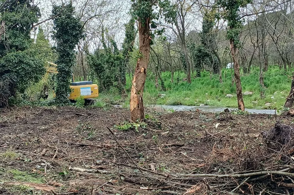 Advierten que con la limpieza del arroyo Belisario �est�n arrasando con toda la flora y fauna�